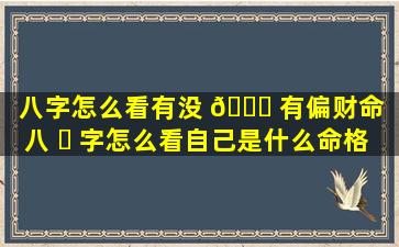 八字怎么看有没 🐘 有偏财命（八 ☘ 字怎么看自己是什么命格）